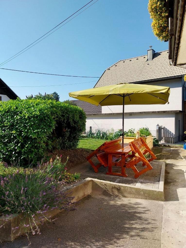 Apartma Jana Zirovnica Buitenkant foto